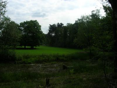DSCN6804