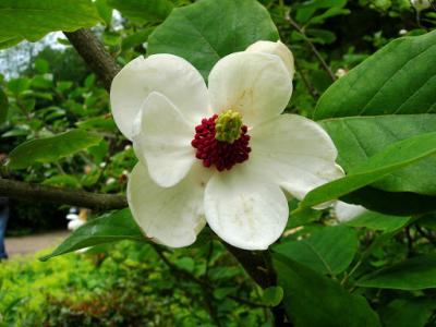 DSCN6979