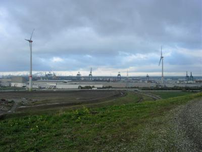 DSCN9546
